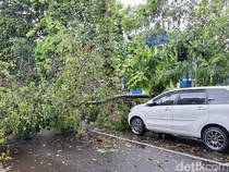 Hujan dan Angin Kencang Terjang Bandung, Pohon Tumbang Timpa Mobil