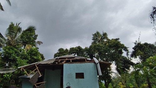 Salah satu titik bencana pohon tumbang di Buleleng.