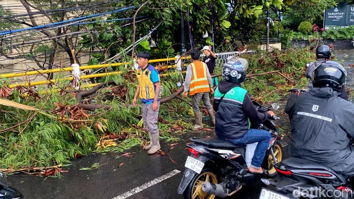Pohon tumbang di Jalan Soekarno Hatta Bandung, Rabu (4/3/2026).