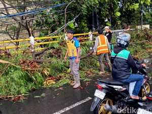 Pohon Tumbang di Jalan Soekarno Hatta Bandung, Lalin Sempat Tersendat