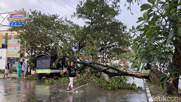 Pohon tumbang di Jalan Suratmo, Kelurahan Manyaran, Kecamatan Semarang Barat, Kota Semarang, Rabu (4/3/2026). Pohon tumbang di Jalan Suratmo, Kelurahan Manyaran, Kecamatan Semarang Barat, Kota Semarang, Rabu (4/3/2026).