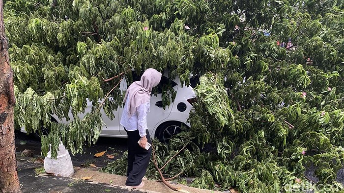 Pohon tumbang di Jalan Suratmo, Kelurahan Manyaran, Kecamatan Semarang Barat, Kota Semarang, Rabu (4/3/2026).