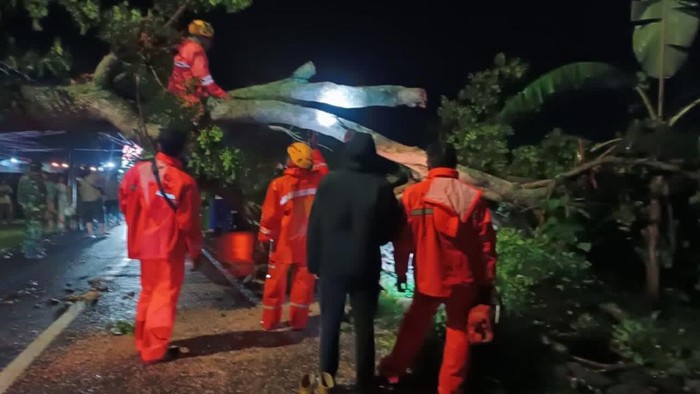Petugas mengevakuasi pohon tumbang di Pasuruan