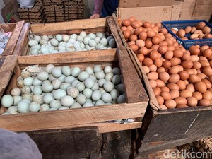 Harga Telur Ayam di Palembang Turun Dipicu Pasokan dan Permintaan