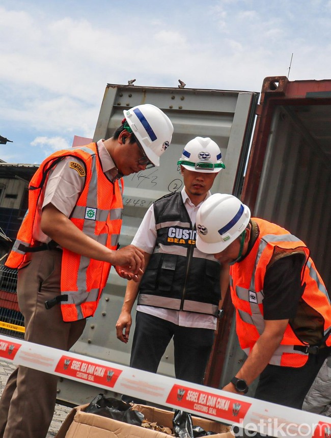 Terbongkar! 3 Ton Sisik Trenggiling Diselundupkan Lewat Tanjung Priok