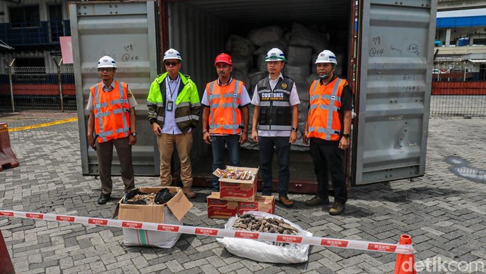 Upaya penyelundupan satwa dilindungi kembali terbongkar di Pelabuhan Pelabuhan Tanjung Priok. Petugas dari Bea Cukai Tanjung Priok menggagalkan ekspor ilegal 3.053 kilogram atau lebih dari 3 ton sisik trenggiling yang disembunyikan di dalam satu kontainer mencurigakan, Rabu (4/3/2026).