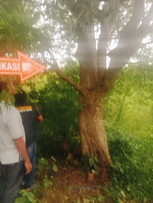 TKP siswa SMA di Kabupaten Lembata, NTT, yang ditemukan tewas gantung diri, Selasa (3/3/2026). (Polres Lembata)