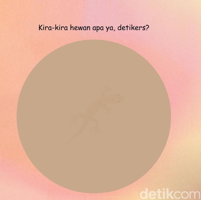 Tebak Hewan di Balik Siluet Samar Ini, Bisa Jawab Semua?