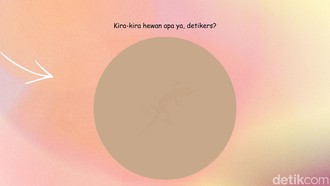 Tebak Hewan di Balik Siluet Samar Ini, Bisa Jawab Semua?