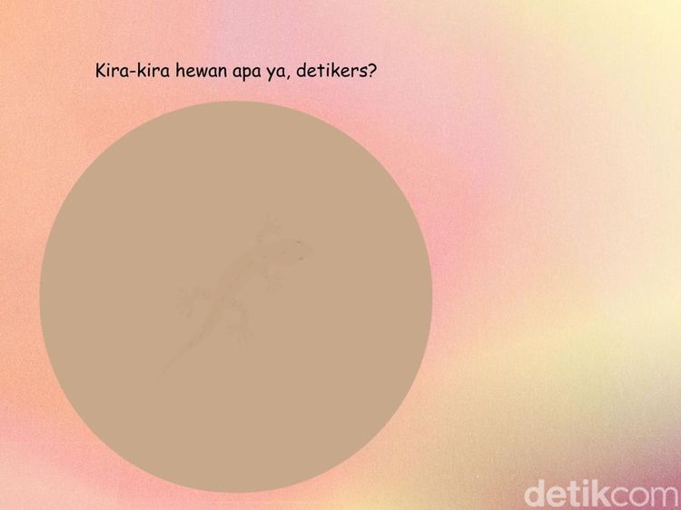 Tebak Hewan di Balik Siluet Samar Ini, Bisa Jawab Semua?