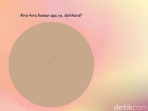 Tebak Hewan di Balik Siluet Samar Ini, Bisa Jawab Semua?