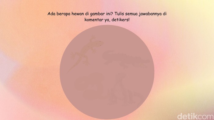 Tebak Hewan di Balik Siluet Samar Ini, Bisa Jawab Semua?