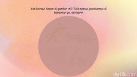 Ada hewan apa saja di gambar ini? Jawab di komentar ya, detikers! (Foto: Daffa Ghazan Pradipta/detikHealth)