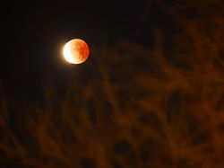 Blood Moon di Berbagai Belahan Dunia