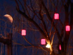 Blood Moon di Berbagai Belahan Dunia