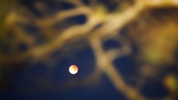 Bulan terlihat selama gerhana bulan total di Panchimalco, El Salvador. Gerhana bulan total dengan karakteristik seperti peristiwa 3 Maret 2026 tidak akan terjadi lagi hingga akhir tahun 2028-2029. REUTERS/Jose Cabezas