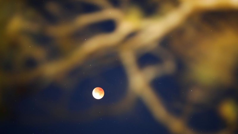 Gerhana bulan total 3 Maret 2026 menyulap Bulan menjadi kemerahan dan terlihat di berbagai negara, dari Asia hingga Amerika. REUTERS/Victor Medina