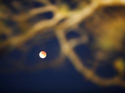 Blood Moon di Berbagai Belahan Dunia