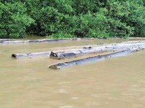 Bantah Dugaan Pembalakan Liar di Tana Tidung, Kades Beri Penjelasan