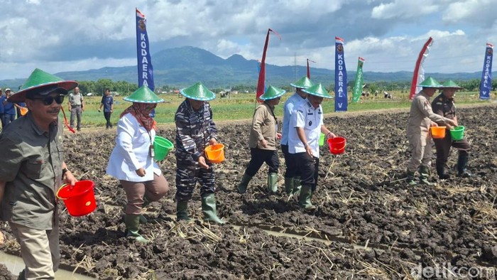 Gerakan Tanam Kedelai di lahan persawahan Desa Ngudikan, Kecamatan Wilangan, Nganjuk.