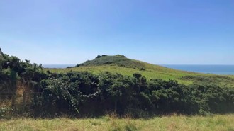 Arkeolog Klaim Temukan Makam Raja Viking Legendaris