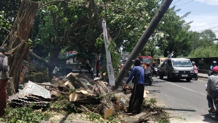 Petugas membersihkan pohon tumbang dampak angin di Kota Semarang, Kamis (5/4/2026).