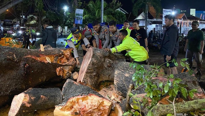Polresta Pati evakuasi pohon tumbang yang menutup Jalan Kolonel Sunandar, tepatnya di depan Stadion Joyokusumo.