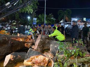 Respons Cepat Polresta Pati Tangani Pohon Tumbang Tutup Jalan Kolonel Sunandar