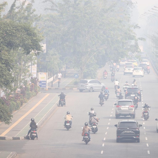 Pontianak Diselimuti Kabut Asap Karhutla