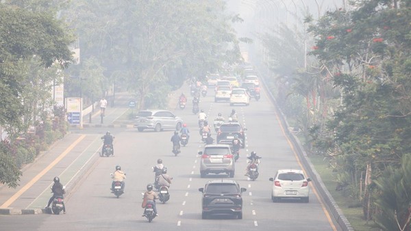 Pontianak Diselimuti Kabut Asap Karhutla