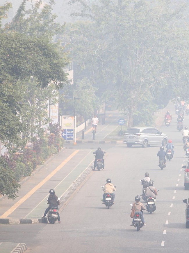 Pontianak Diselimuti Kabut Asap Karhutla