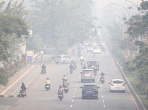 Pontianak Diselimuti Kabut Asap Karhutla