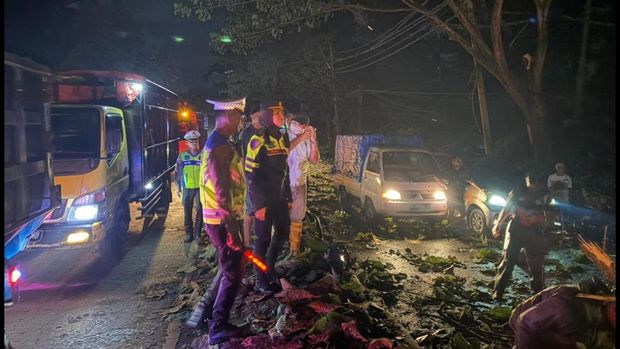 Proses evakuasi pohon-pohon tumbang di Jalur Pantura Kabupaten Batang, Rabu (4/3/2026) malam.