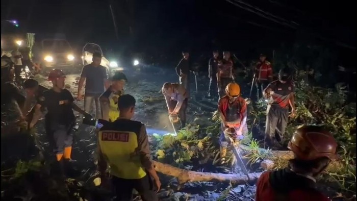 Proses evakuasi pohon-pohon tumbang di Jalur Pantura Kabupaten Batang, Rabu (4/3/2026) malam.
