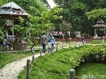 Taman Lope Lope Bulu Cina, Alternatif Rekreasi Hijau Gratis di Medan
