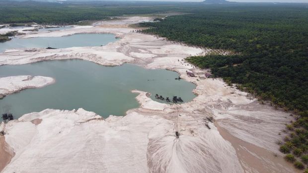 Aktivitas penambangan emas tanpa izin (PETI) yang diduga terjadi di Bengkayang menggunakan belasan ekskavator. (dok Istimewa) Aktivitas penambangan emas tanpa izin (PETI) yang diduga terjadi di Bengkayang menggunakan belasan ekskavator. (dok Istimewa)