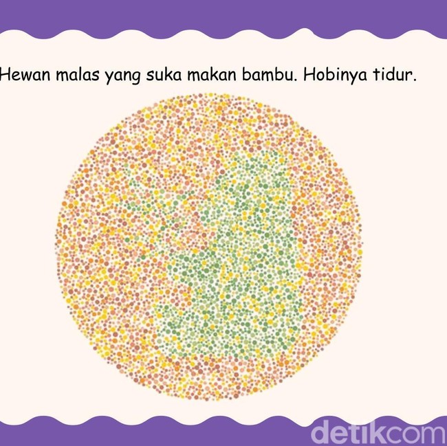 Ketajaman Mata Diuji di Sini, Coba Tebak Hewan Apa yang Lagi Bersembunyi