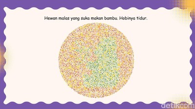 Ketajaman Mata Diuji di Sini, Coba Tebak Hewan Apa yang Lagi Bersembunyi