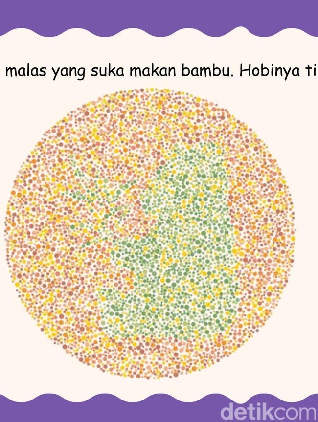 Ketajaman Mata Diuji di Sini, Coba Tebak Hewan Apa yang Lagi Bersembunyi