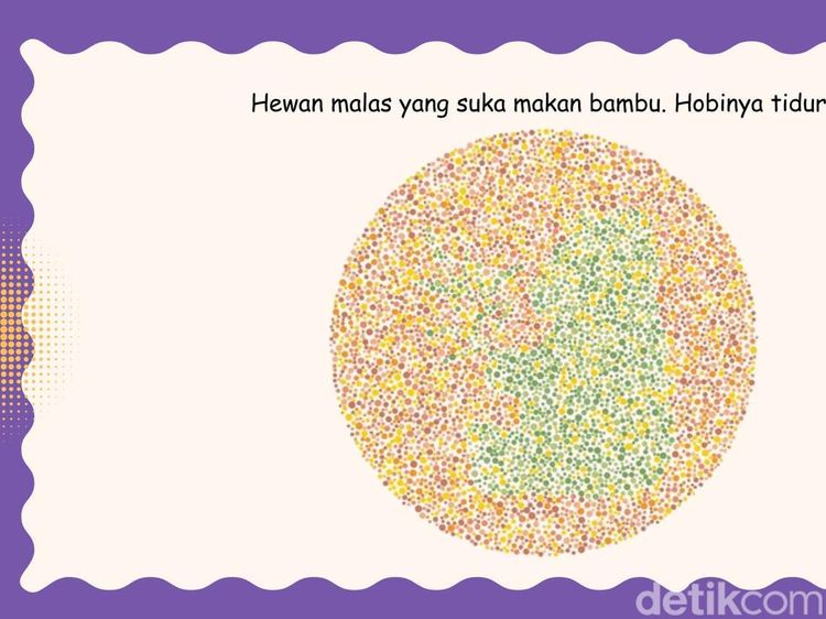 Ketajaman Mata Diuji di Sini, Coba Tebak Hewan Apa yang Lagi Bersembunyi