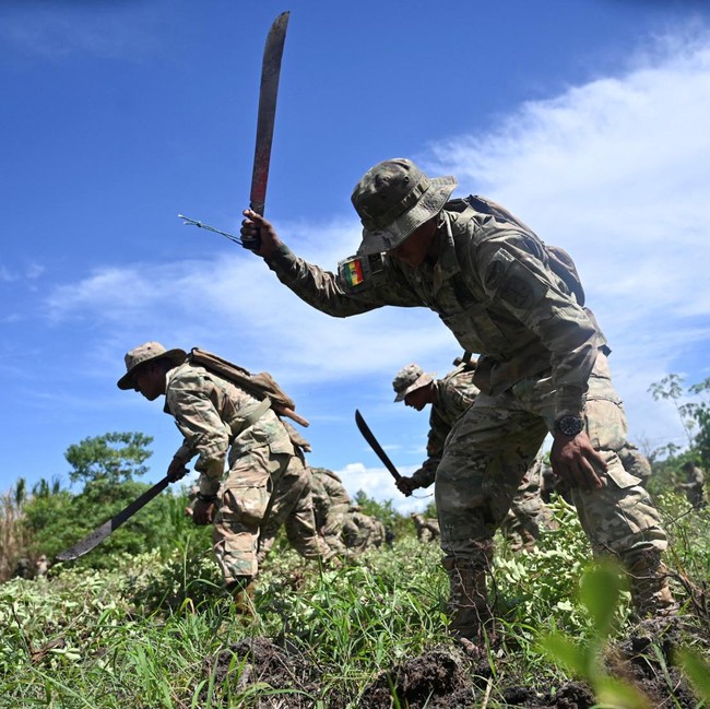 Bolivia Musnahkan Tanaman Koka Ilegal, Kerja Sama dengan DEA Kembali Dibuka