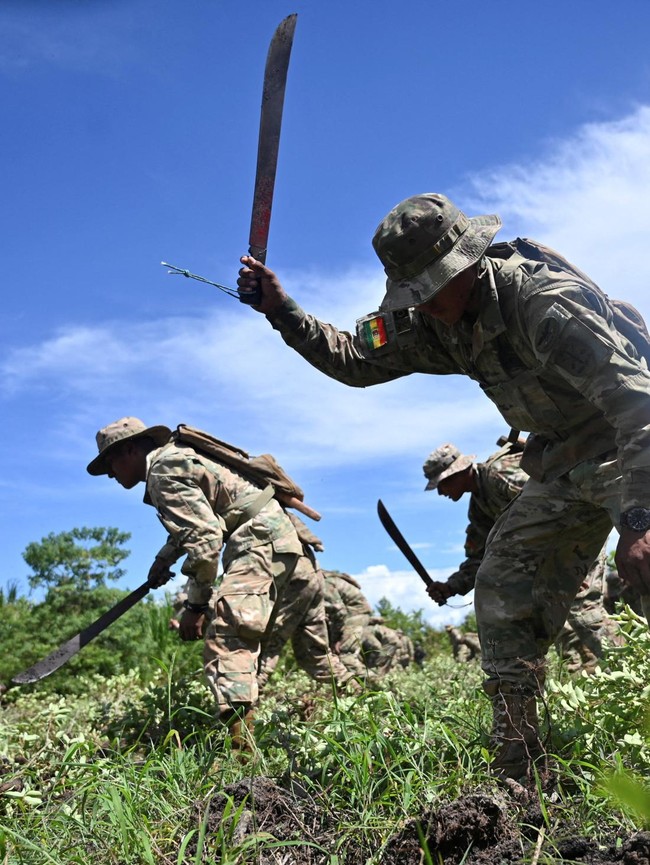 Bolivia Musnahkan Tanaman Koka Ilegal, Kerja Sama dengan DEA Kembali Dibuka