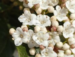 Keliling Barcelona Sambil Jajal Kamera Tecno Camon 50 Pro 5G