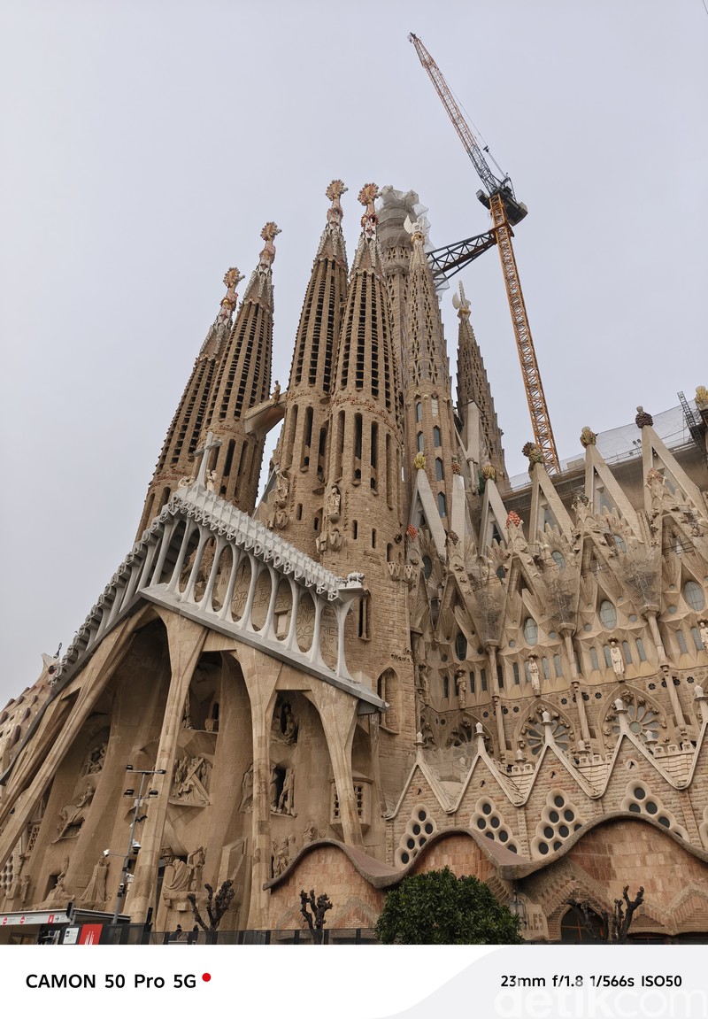 Hasil foto Tecno Camon 50 Pro