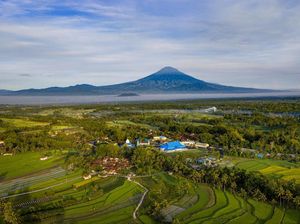 Kedai Kopi Unik di Lereng Gunung Merapi Hasil Racikan Para Santri