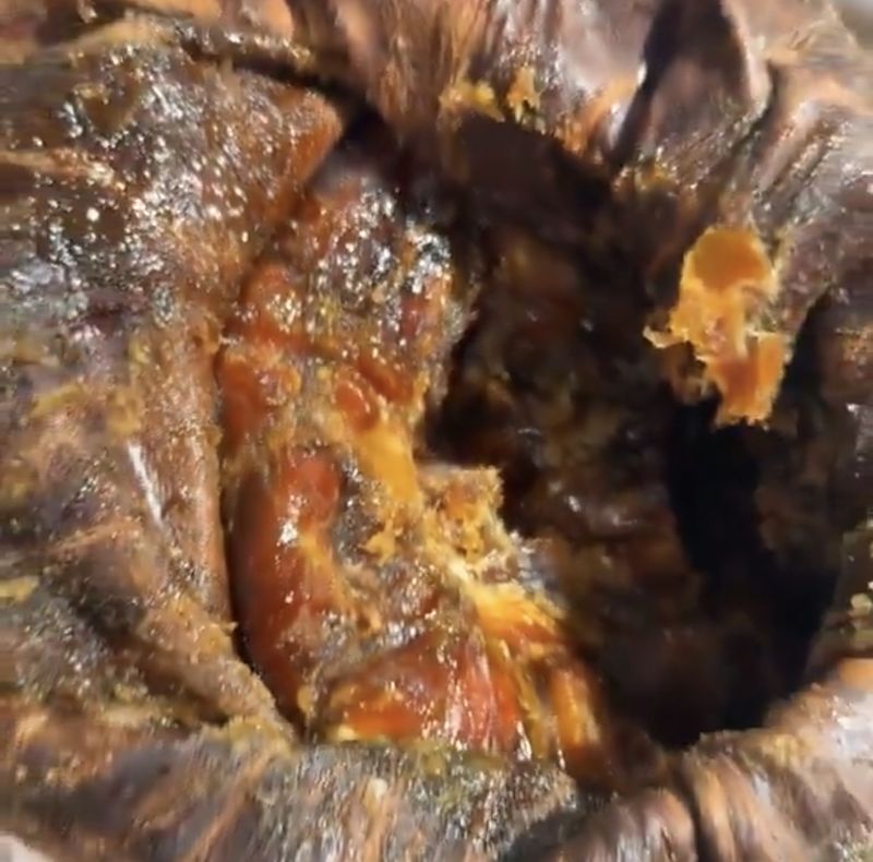 Viral! Penampakan Kurma 100 Tahun yang Ditemukan dalam Kantong Kulit