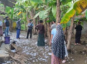 Petasan Segede Paha Meledak di Pangandaran, 2 Pemuda Terluka