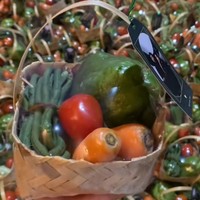 Viral Souvenir Pernikahan Unik Berisi Sayur Segar, Tamu Pulang Bawa Labu Siam