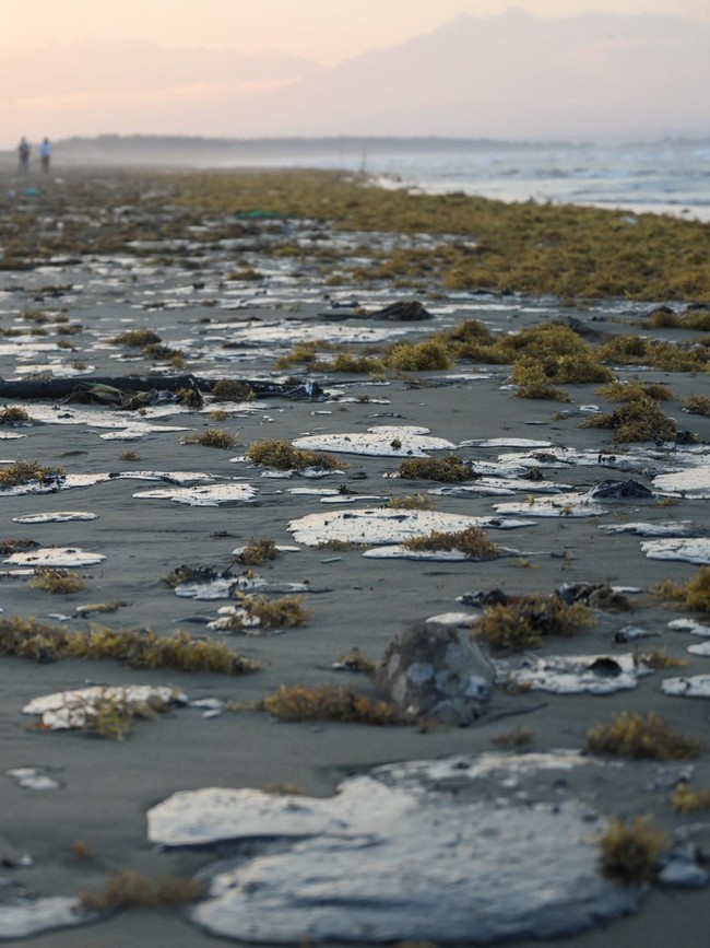 Tumpahan Minyak Cemari Pantai Veracruz, Nelayan dan Warga Pesisir Terdampak