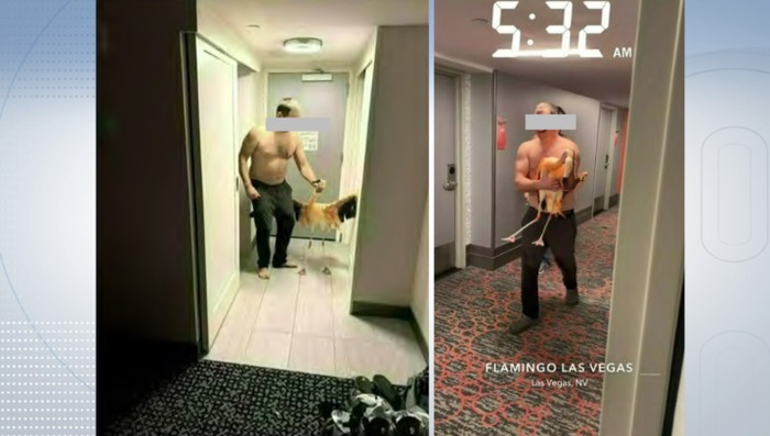 Turis siksa flamingo di hotel
